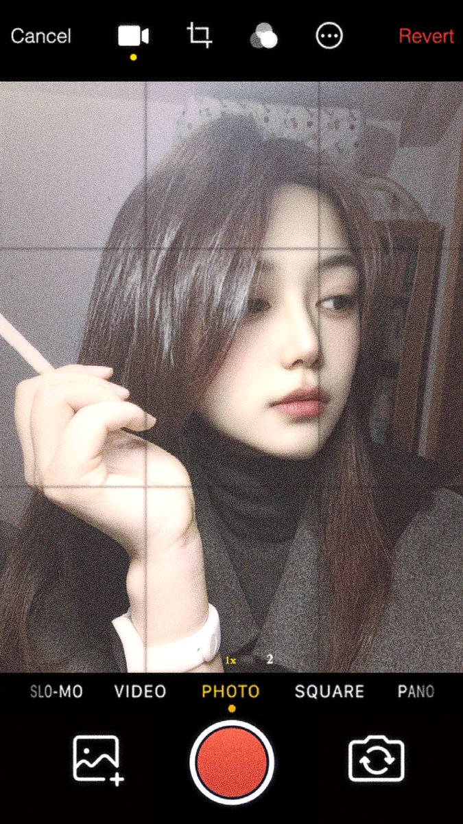 社畜版🐟