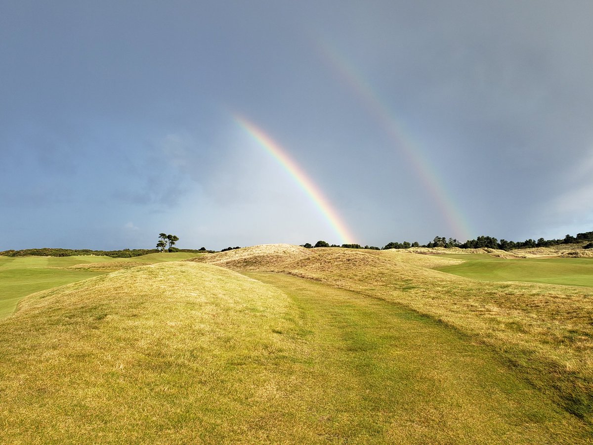 PrestonWinters8's tweet image. Plus, I got plenty of tears to fill a waterfall, mayhaps I need a rainbow and das Gluck unt Irish 🍀 ☘️ 🍀