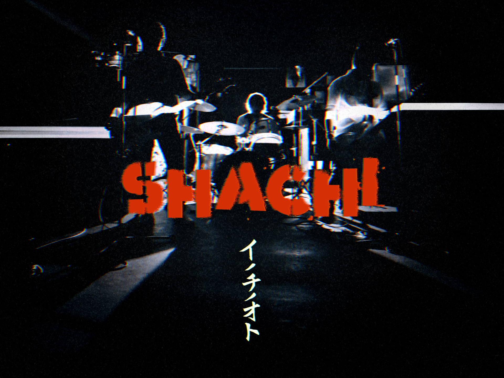 SHACHI (@SHACHI_official) / X SHACHI (@SHACHI_official) / X
