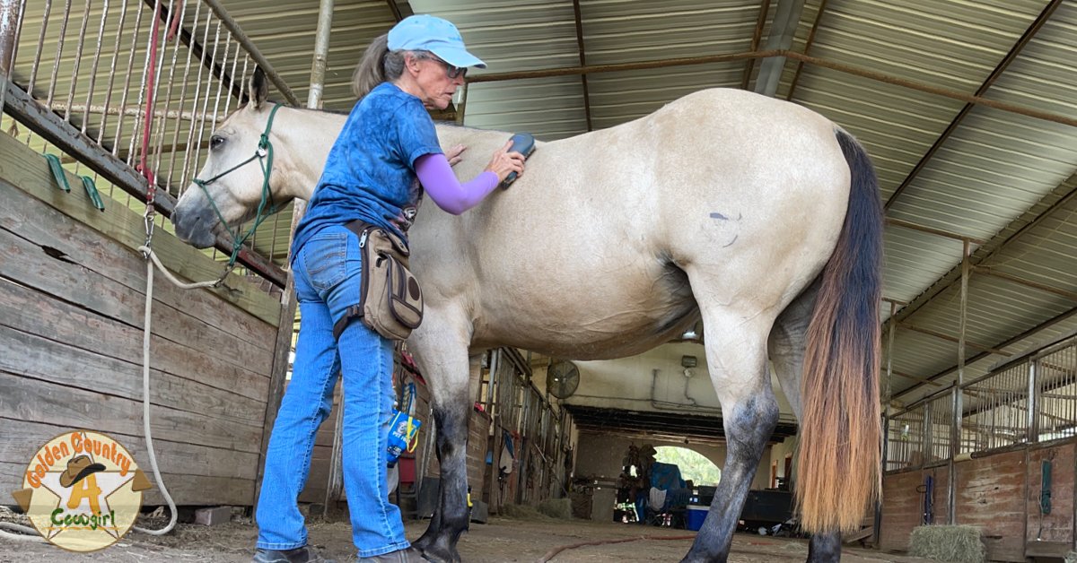 Sundays with my horses = the perfect reset. 🐴☀️

Nothing calms the soul like brushing Butter or just sitting nearby. Do you have a Sunday ritual that grounds you? #HorseLife #SundayReset