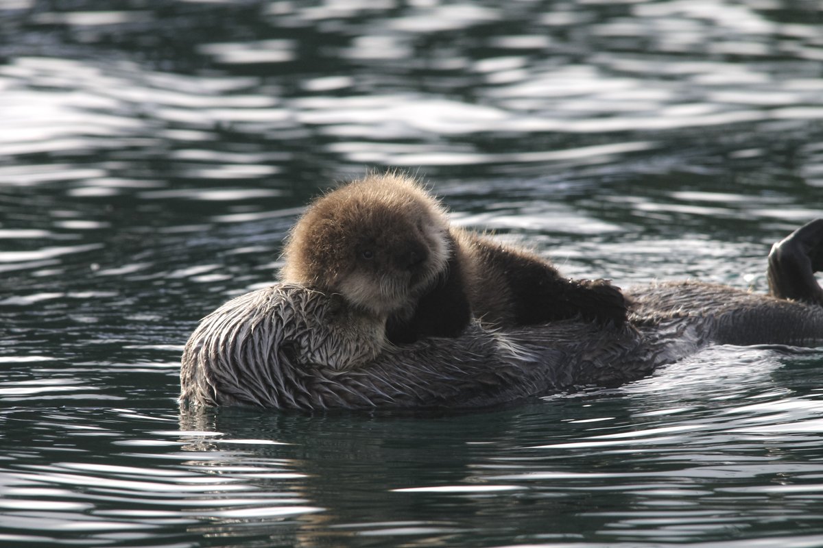 Interior's tweet image. Easy like Sunday morning! 🦦