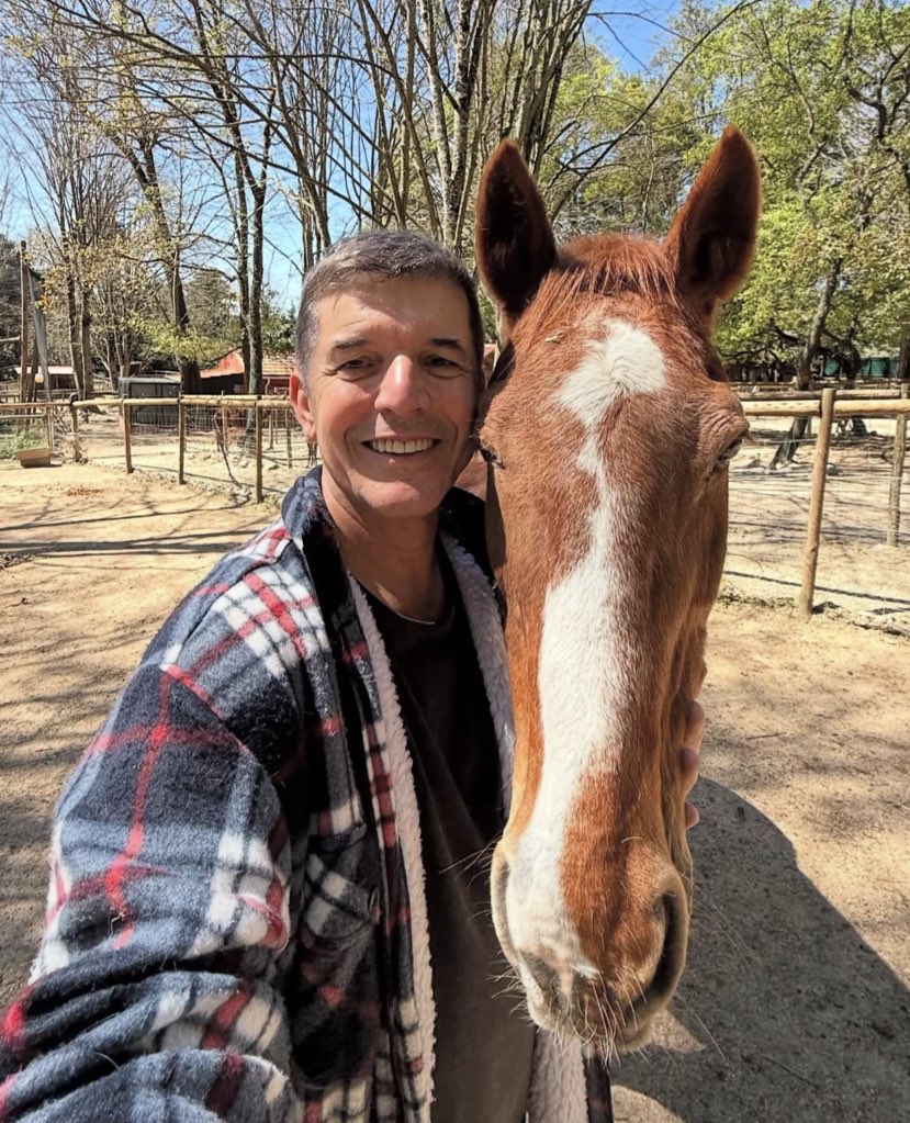 BaiaoDaily's tweet photo. Um bom domingo para todos 🥰🐴 https://t.co/aCnlxwjZKL