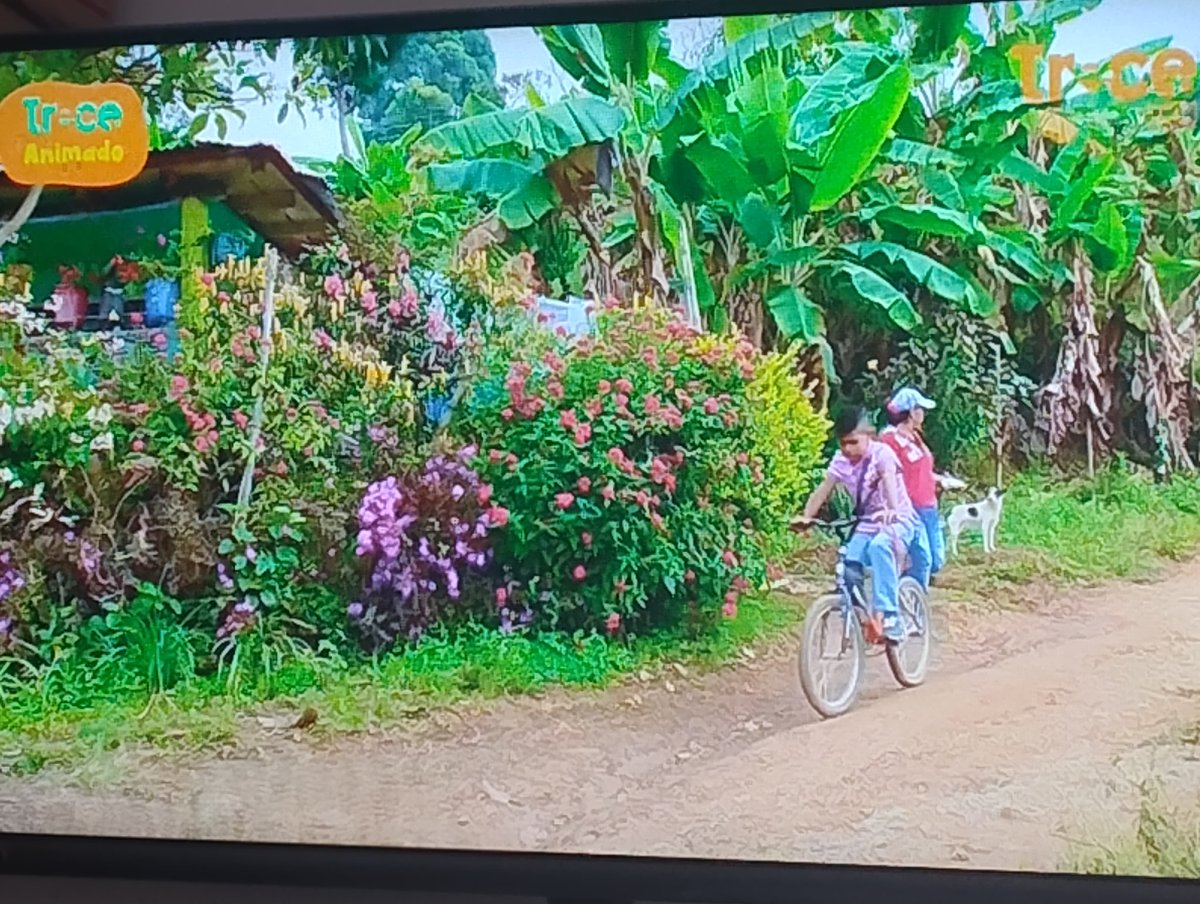 soybaconauta's tweet image. Felicitaciones a @CanalTreceCO por este programa. Muy interesante, educativo y entretenido.