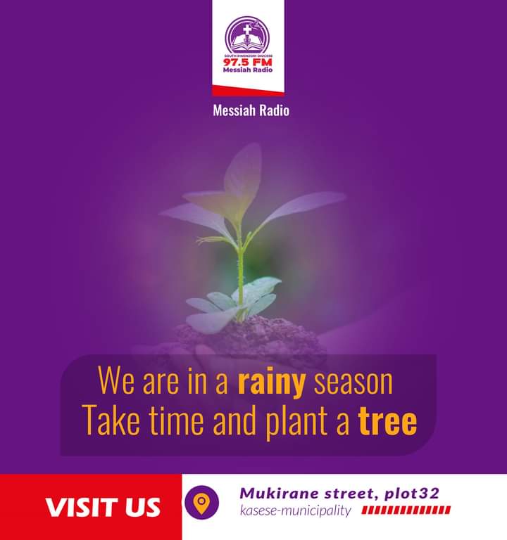 SrdSouth's tweet image. South Rwenzori Messiah Radio has a message for us all. 
Plant a Tree, Conserve the Environment,  have good health. 
Say NO to deforestation, embrace reforestation. Together we can fight climate change