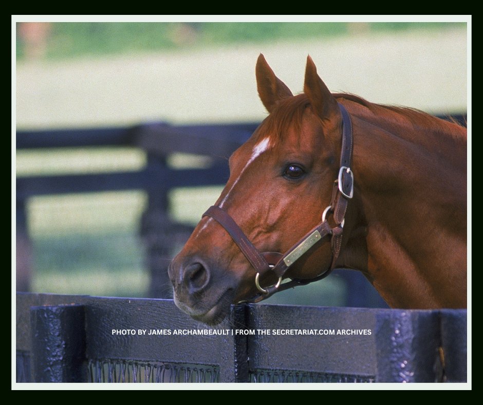 Happy birthday, Big Red! Secretariat was #bornonthisday in 1970 to Somethingroyal at the Meadow in Doswell, VA. The Bold Ruler foal was, as Bill Nack would write, "well made, well bred, healthy, and hungry."

(Photo by available by special order; visit the link in our profile.)
