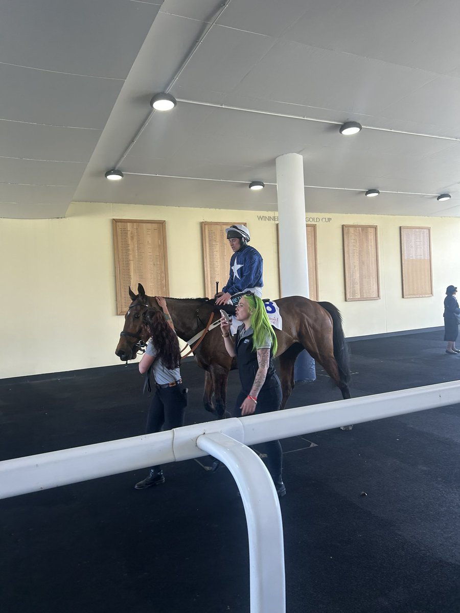 Benvoy <a href="/Ascot/">Ascot Racecourse</a> 🥇🐎