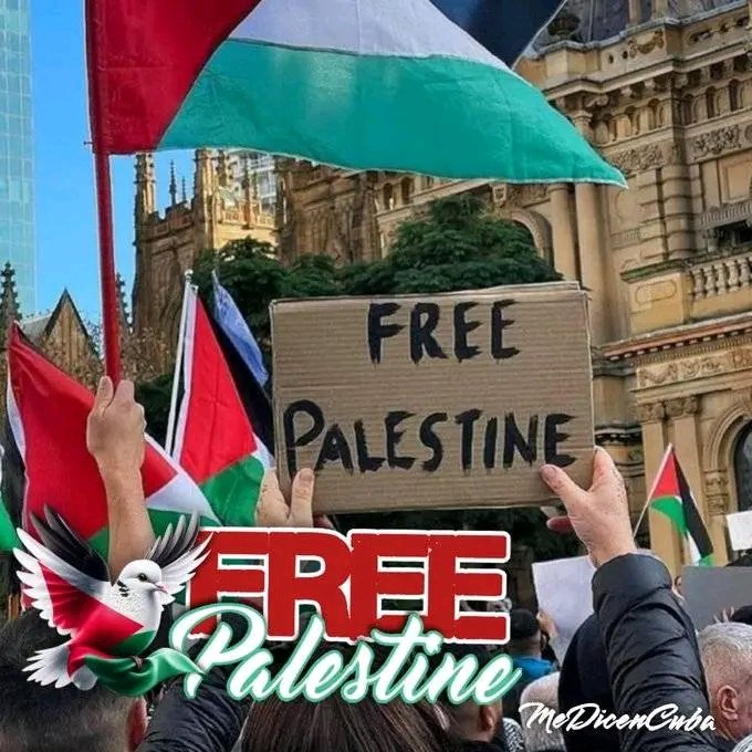 🗣️ Hoy conmemoramos el Día de la Tierra Palestina, con continuas muestras de solidaridad y denuncia del cese al fuego en Gaza.
#CubaConPalestina