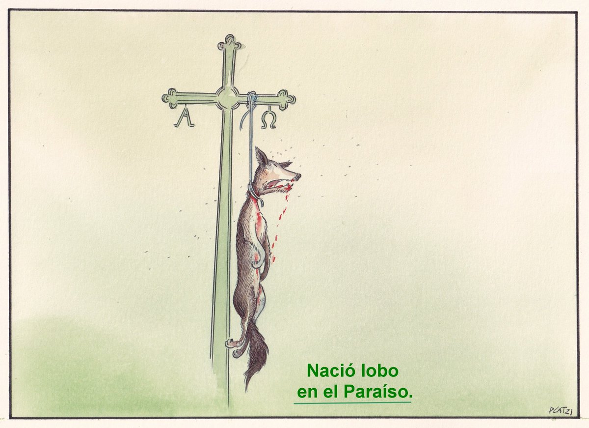 Mi viñeta.
Nacer lobo en Asturias.