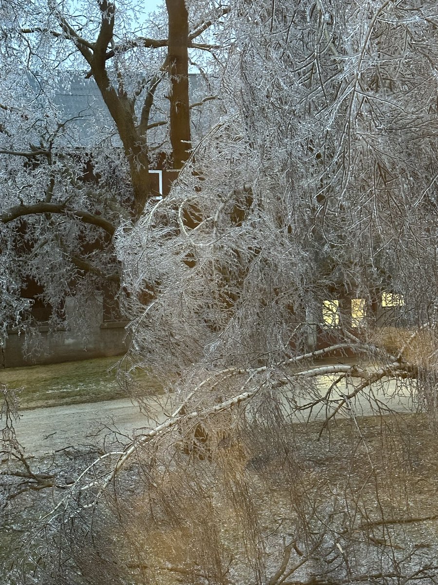 Unbelievable at the damage in our area today. Hydro poles snapped, trees down and hydro out for many. Stay safe everyone. #ontarioicestorm #staysafe