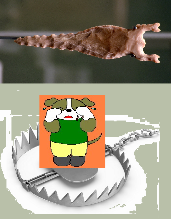 focus (@qs75834) on Twitter photo 