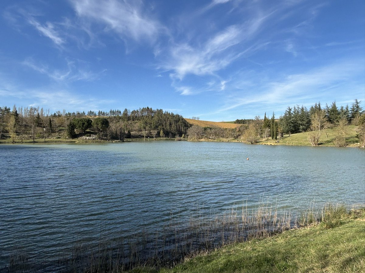 MartinGiurfa's tweet image. The Lauragais, with the Pyrenees as magnificent background: I spent 24 years here. Now it is time to leave, with sadness and gratitude.