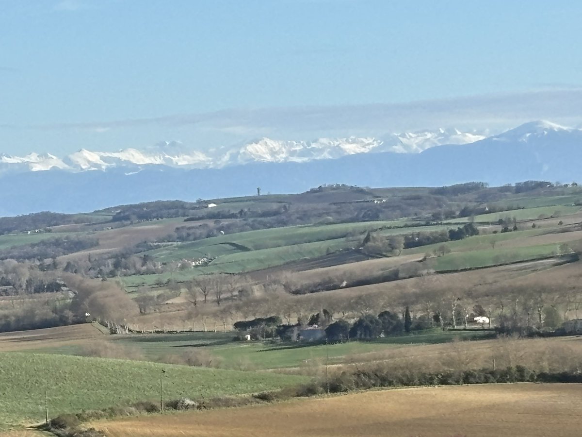 The Lauragais, with the Pyrenees as magnificent background: I spent 24 years here. Now it is time to leave, with sadness and gratitude.