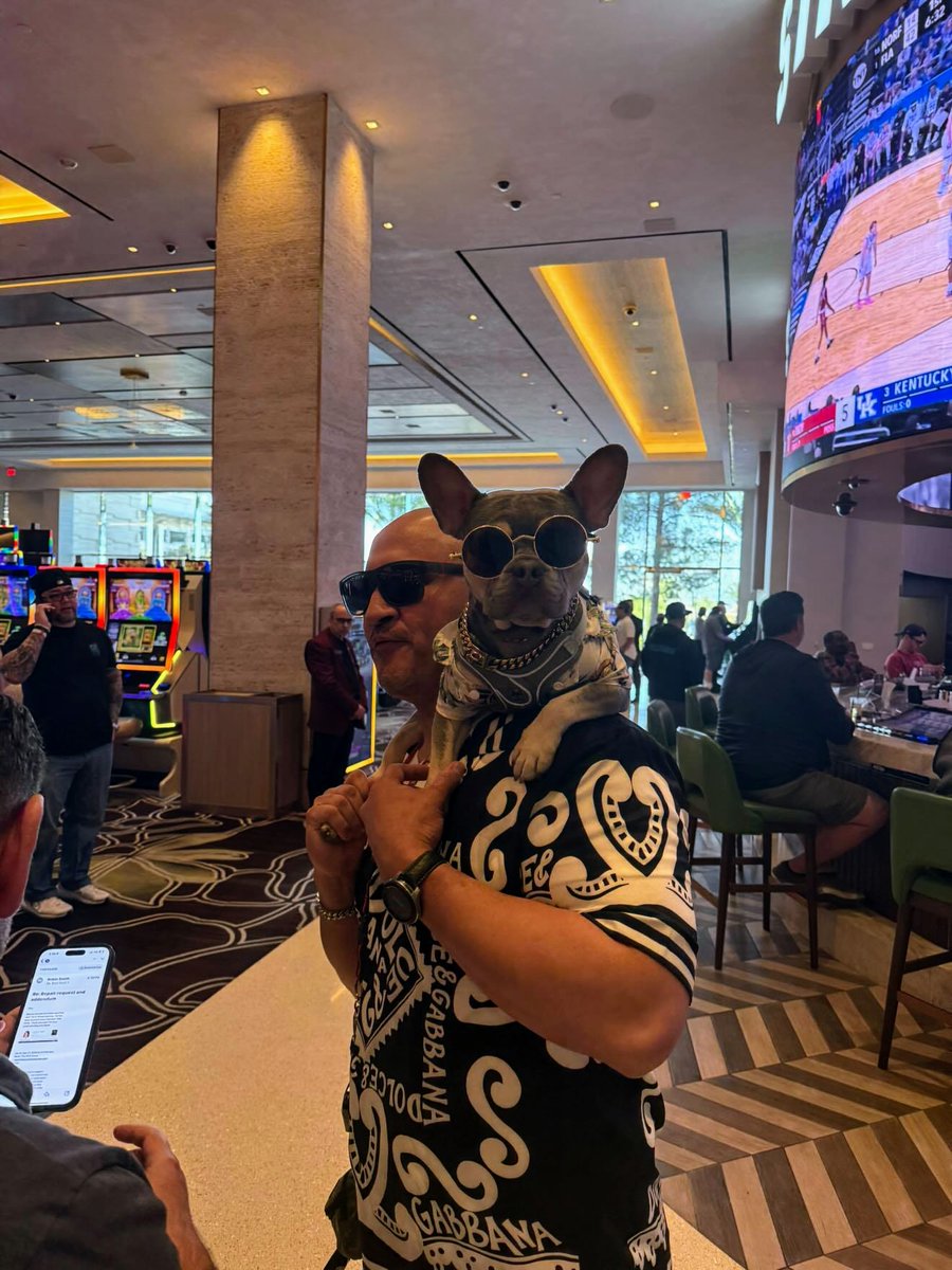 The only acceptable way to bring your dog to the casino