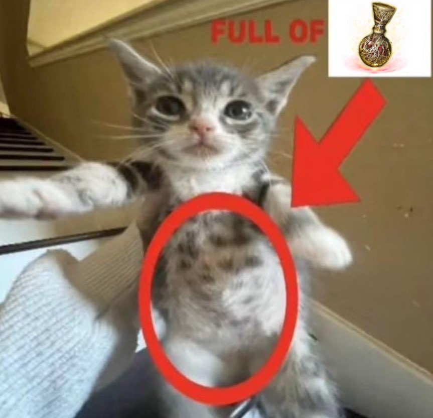 Dia 317:
Rumo ao 5° fora chama hehehe