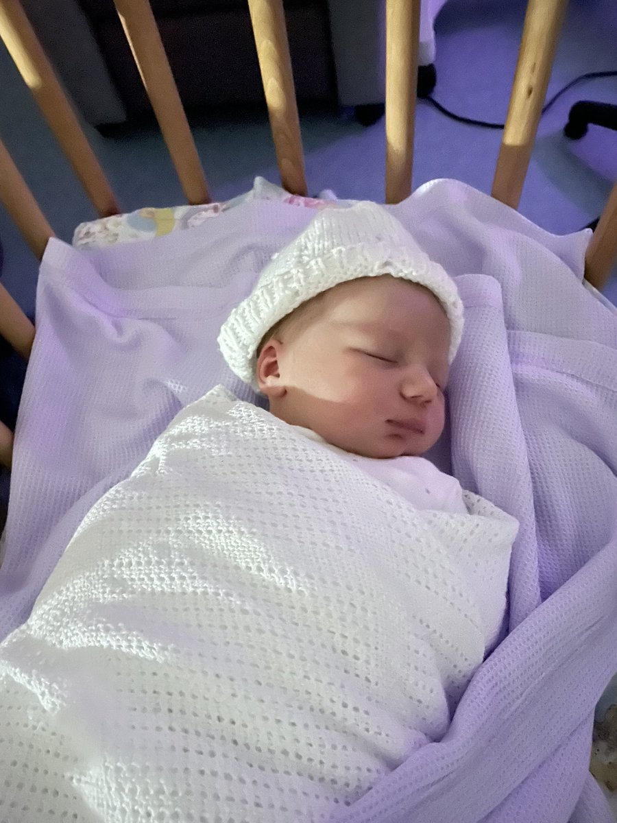 Conor Pepper tweet media