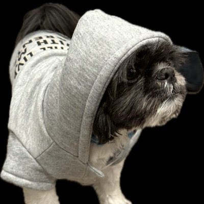 Benji is just a chill Dog

Got great plans and Team have been pushing for days.

No Wallet sold a token despite reaching  it ATH 

Bidding Long term on this $BJ

Telegram: t.me/benjisoltoken

x.com/benjisoltoken

CA: AEsHWNsasurhsjuErPoFxHwzJYBYMUj2zgNzTggcwTXB

Chart:
