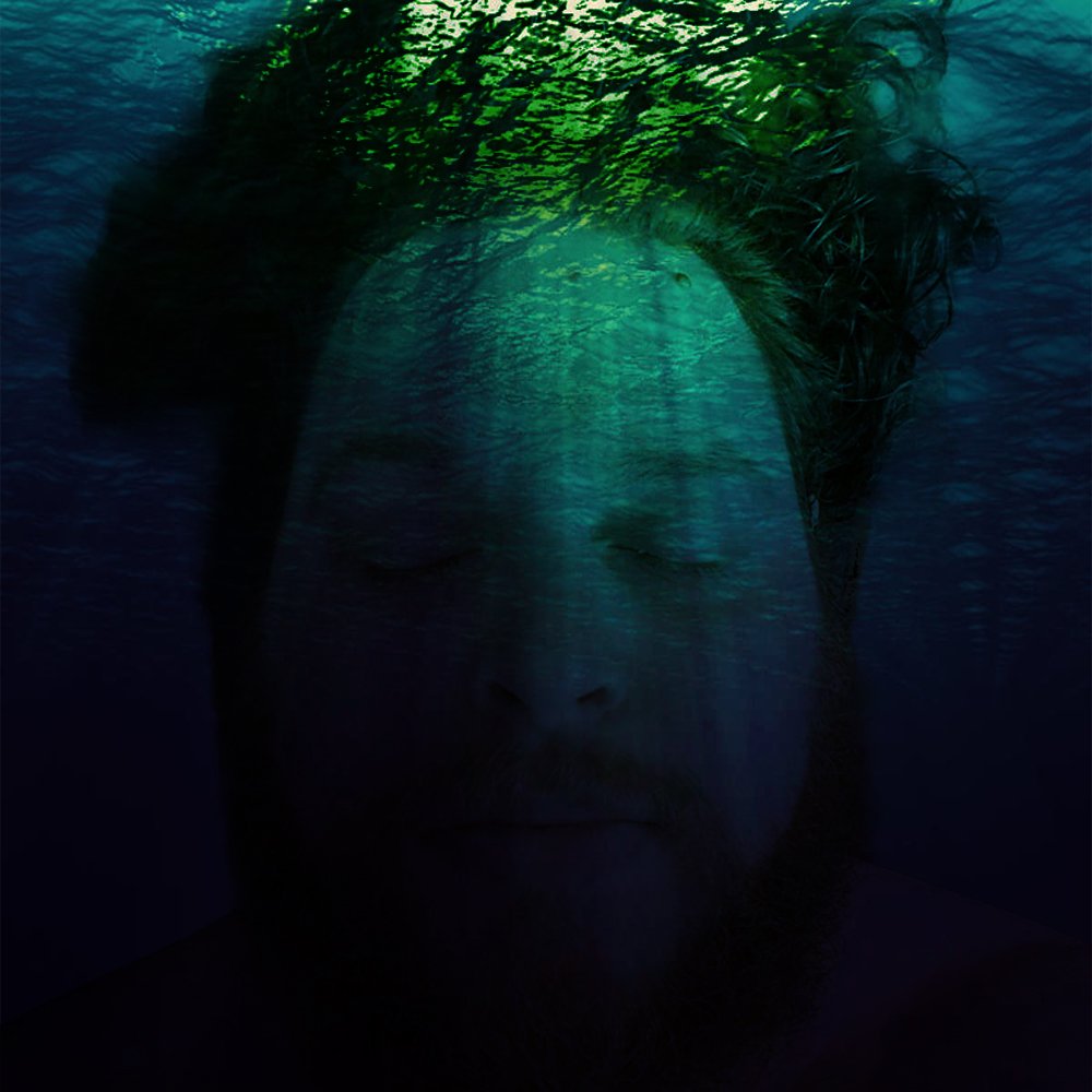 Withered Veins (@withered_veins) on Twitter photo 