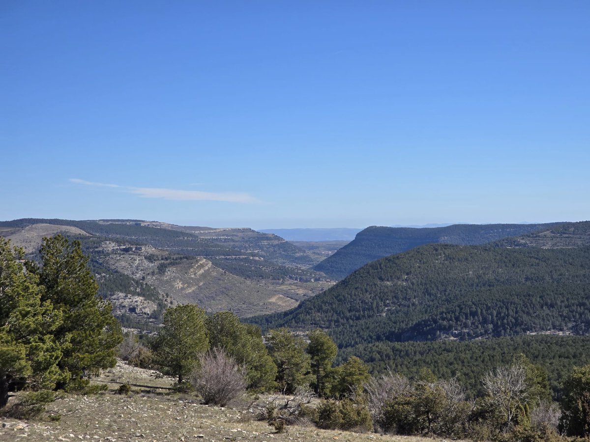 Más de 500 corazones se han unido para abrazar el corazón de las Sargantanas, el corazón del Maestrazgo. Muchas gracias por haber hecho posible esta jornada con vuestra asistencia; una jornada histórica que resonará hasta Dinamarca.