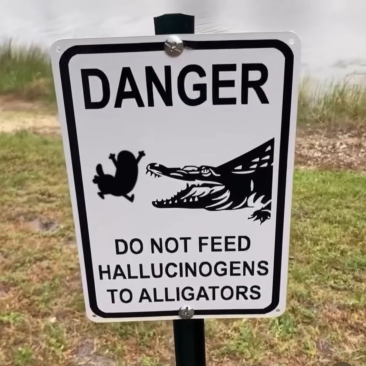 CaptainDickles's tweet image. Get high on your own supply with a bag of @Dicklebuttsnft’s vibes. Don’t forget to share with your friends 🥴✨💖