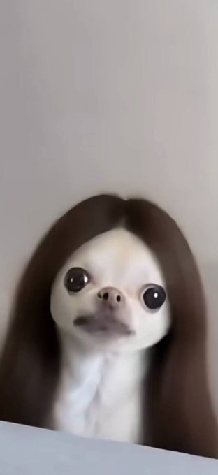 This is literally me for the last year https://t.co/UegrM92zQl