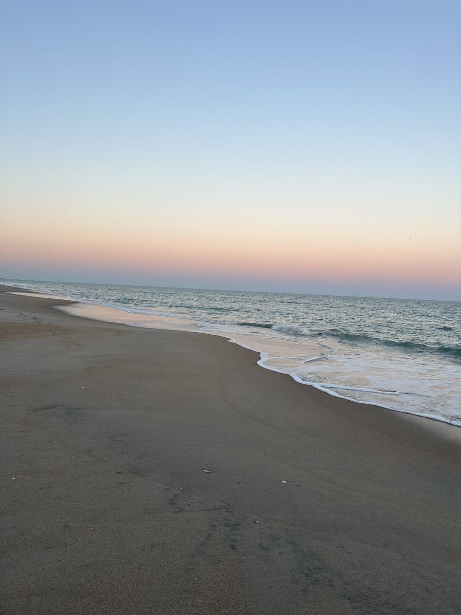 Liz-Z-Cryptz tweet media