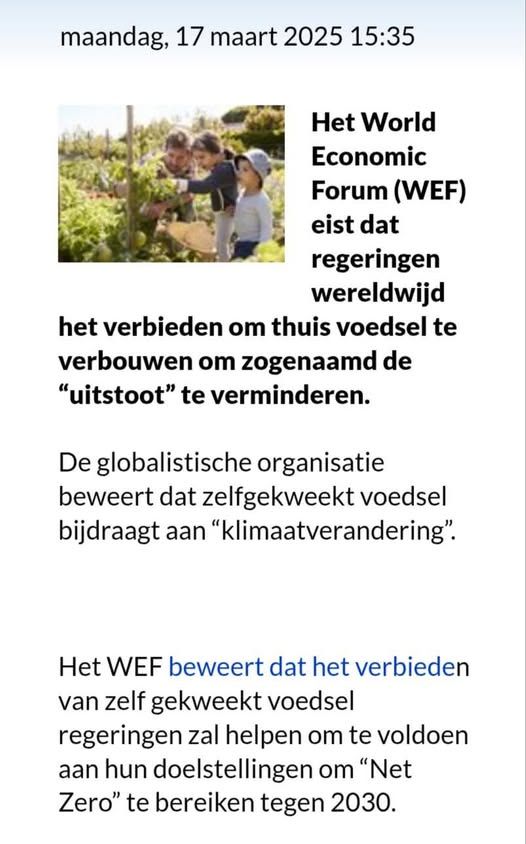 Wim tweet media