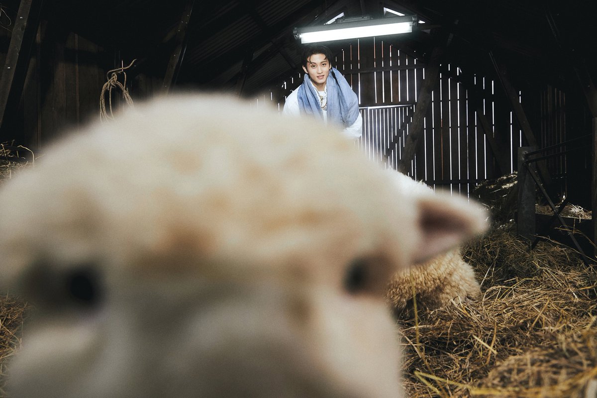 이거너무귀여운거아닌가