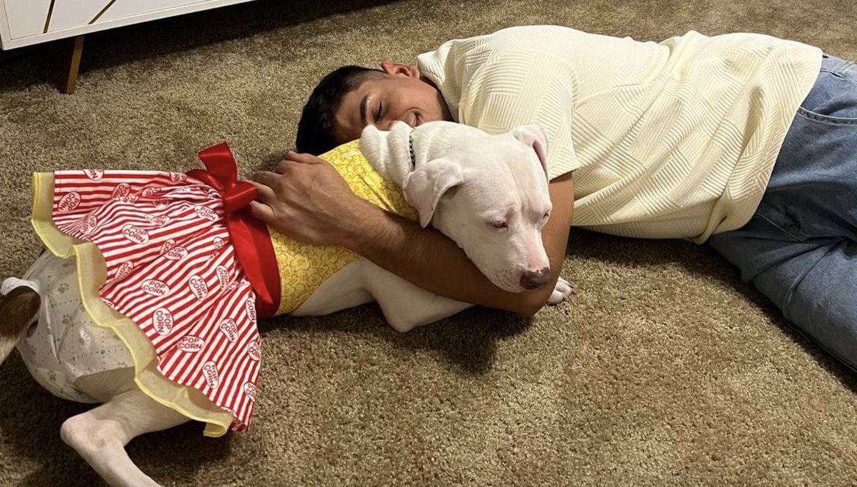 Arin Greenwood tweet media