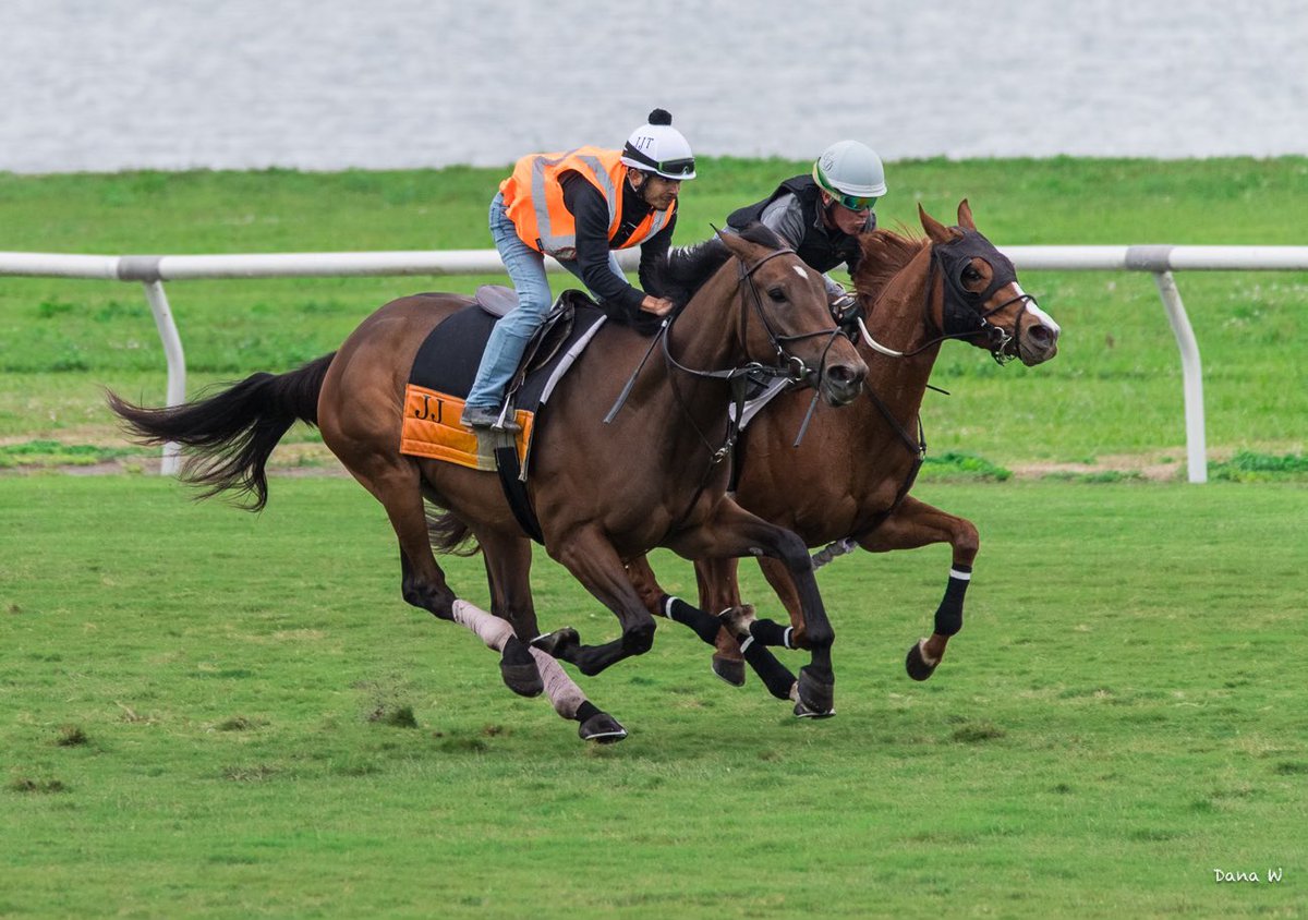 JJ Toner Racing Stable (@jjtonerracing) on Twitter photo MILDRED PIERCE (pictured outside) makes her debut today in race 10 at Gulfstream Park. The daughter of Uncle Mo partners with <a href="/EdwinGonzalz1/">Edwin Gonzaléz</a>. Post time is 5:50pm. MILDRED PIERCE (pictured outside) makes her debut today in race 10 at Gulfstream Park. The daughter of Uncle Mo partners with <a href="/EdwinGonzalz1/">Edwin Gonzaléz</a>. Post time is 5:50pm.
