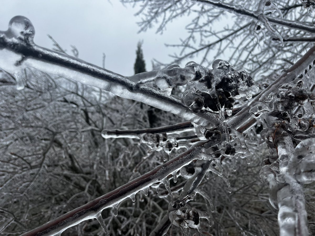 Severe Ice Storm Update: Our paramedics are working tirelessly to respond to emergencies, but hazardous conditions, fallen trees, and power outages are causing delays. Please reserve 9-1-1 for life-threatening emergencies. We appreciate your patience. #ONStorm