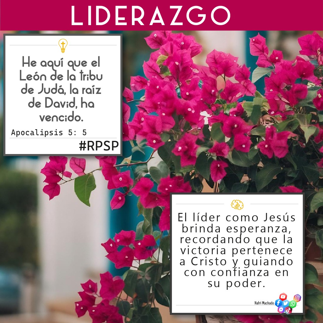 📖Apocalipsis 5: 5 He aquí que el León de la tribu de Judá, la raíz de David, ha vencido.✝
🤔El líder como Jesús brinda esperanza, recordando que la victoria pertenece a Cristo y guiando con confianza en su poder.🧠
👍🏻 DALE LIKE – ↪ COMPARTE – ☝🏻 CRECE
#liderazgo #RPSP #vnma