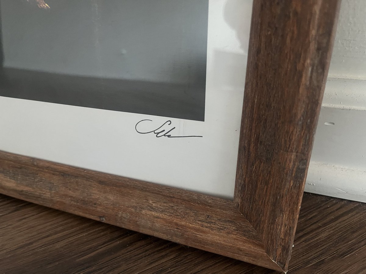 TarmoKat the Restless Antifascist tweet media