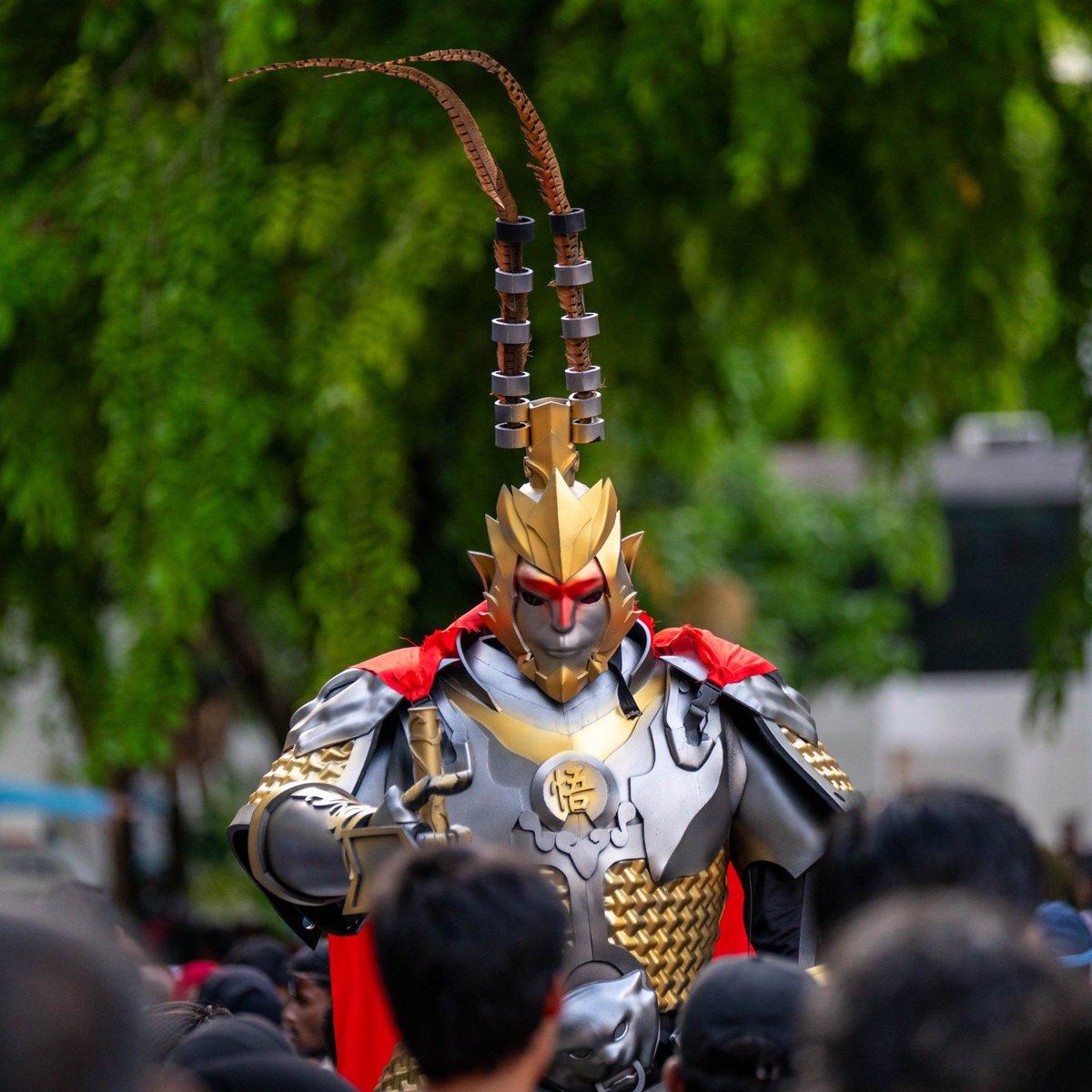 MACLmedia tweet picture
