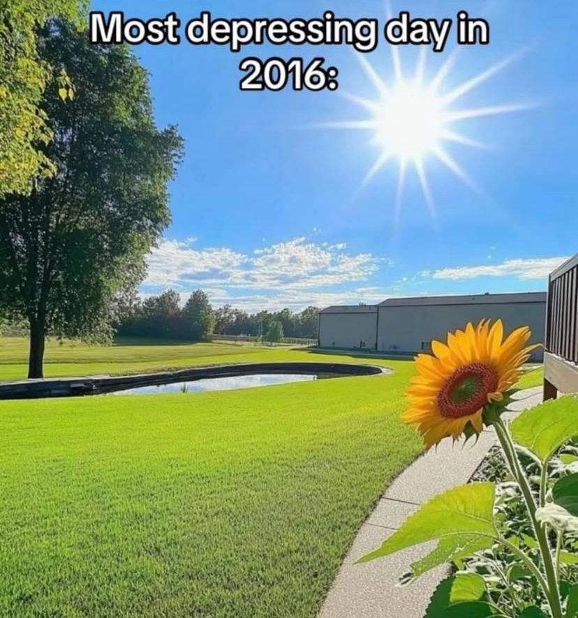 🕐HOURLY🕑 shitpost tweet media