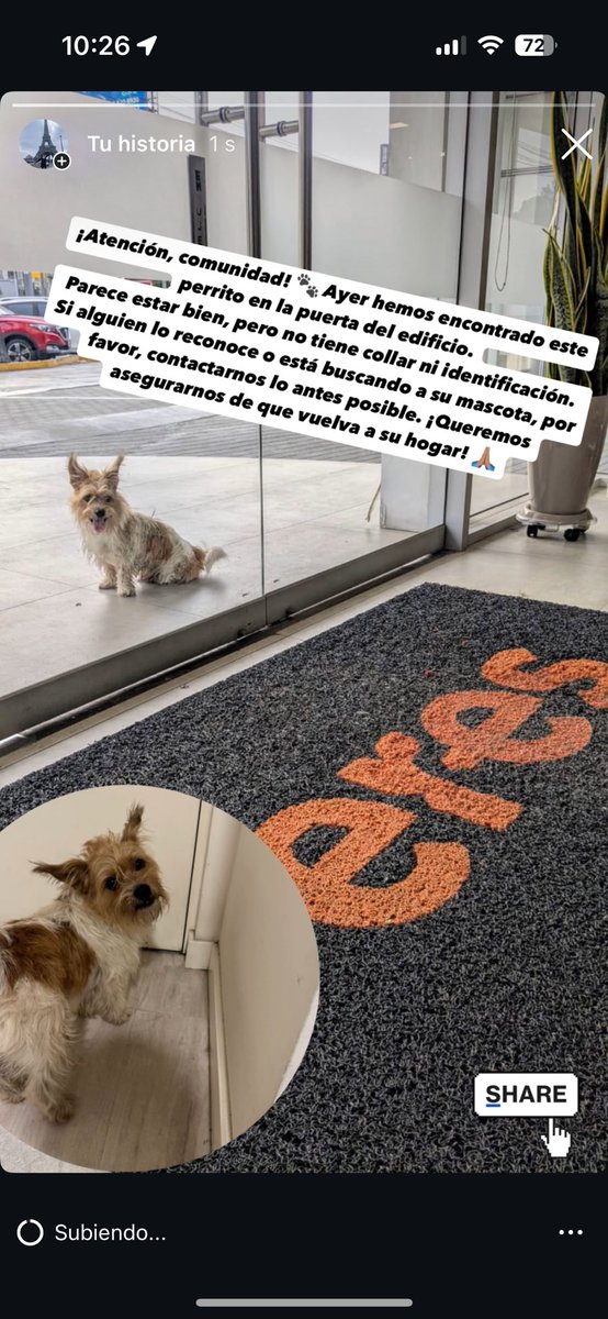 MENAH_18's tweet photo. Compartir por favor 🙏 https://t.co/2RvZGz8XAV
