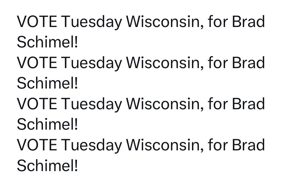 VOTE TUESDAY IN WISCONSIN FOR BRAD SCHIMEL! 

PASS IT ON!
