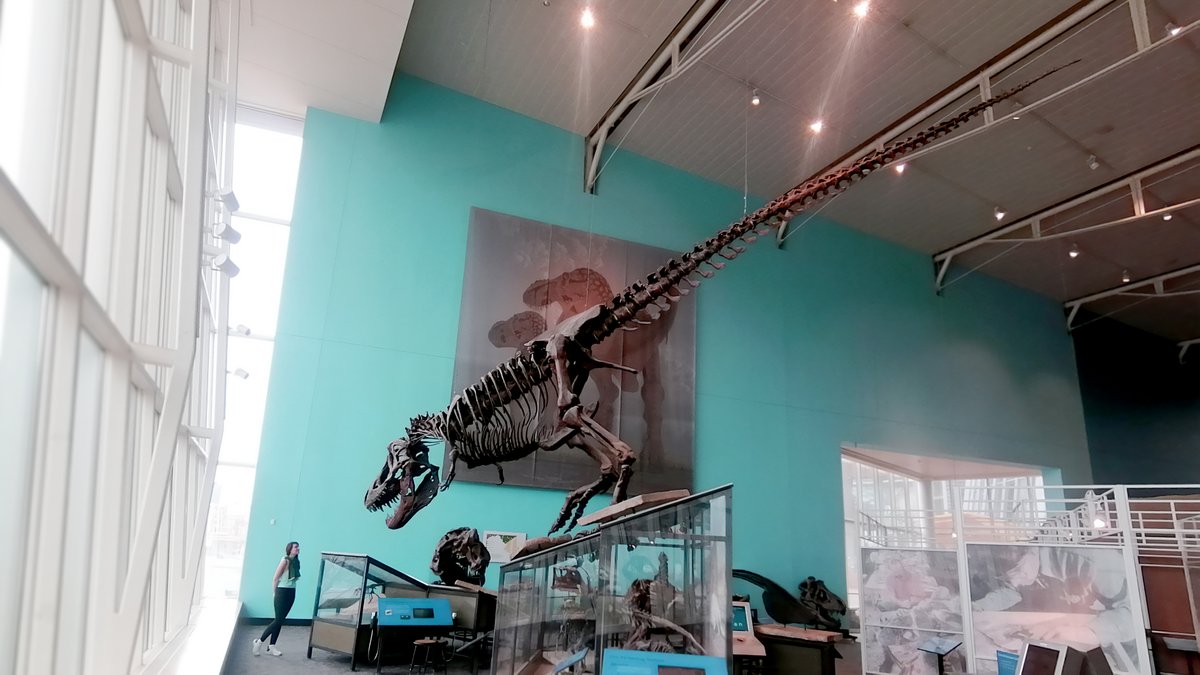 Inspiration for my fall term classes!