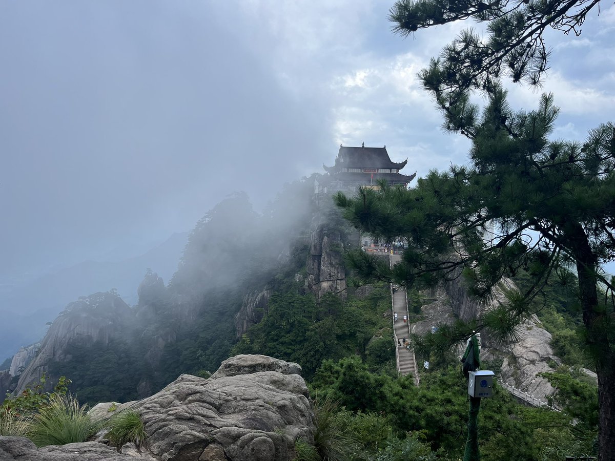 Peony Group tweet media