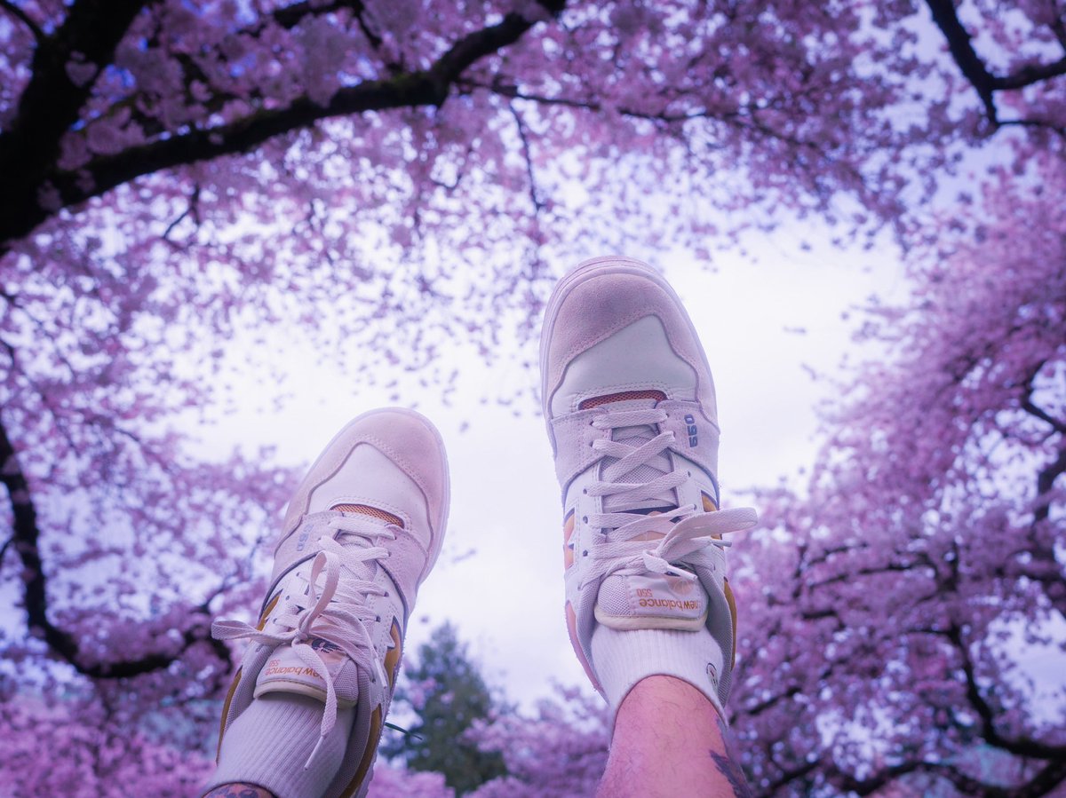 OhKero 🐸 tweet media