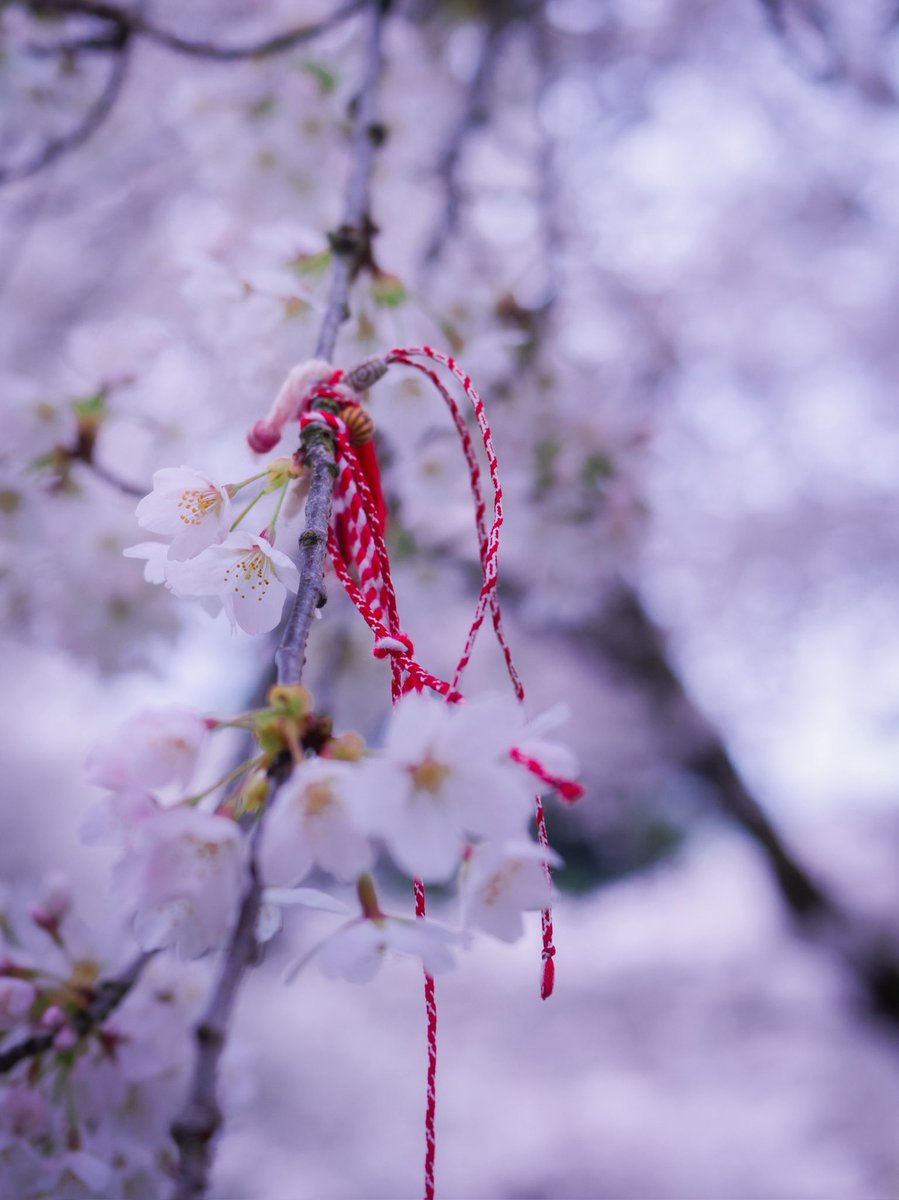 OhKero 🐸 tweet media