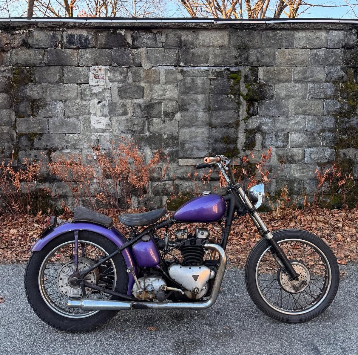 LowbrowCustoms's tweet photo. Purple rain, purple rain... sing it with me.... This 1952 survivor Pre-unit Triumph is pretty dang saweeeet @hi_lo_cycles #choppershit #triumphchoppers #triumph #vintage #preunittriumph #preunit #survivor #moto #customtriumph #vintagetriumph https://t.co/iMDjFBPkOs