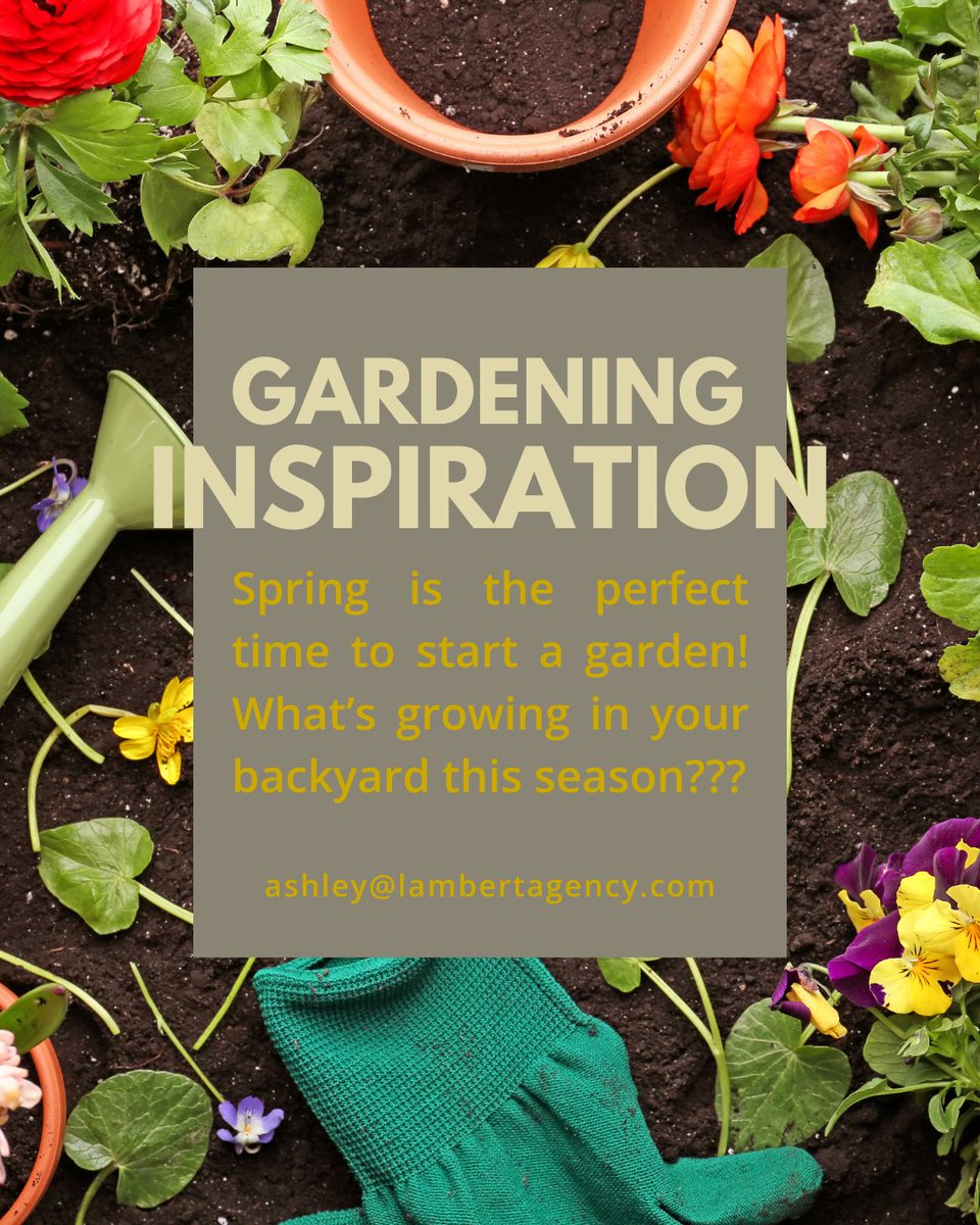 lambertagents's tweet image. Agent Ashley is the one with the green thumb around here!  Her spring garden has tomatoes, peppers, cucumbers, lemons, blueberries &amp;amp; lots of fresh herbs.  #springgarden #liveoutdoors #playinthedirt