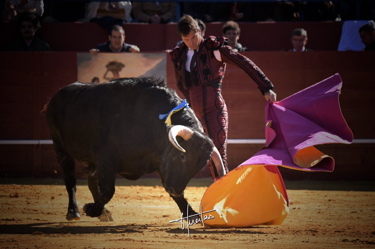 Daniel Luque tweet media