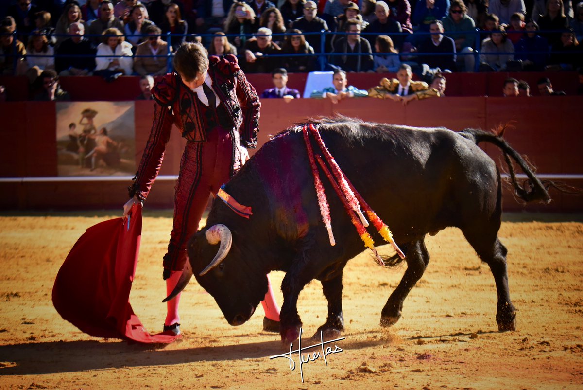 Daniel Luque tweet media