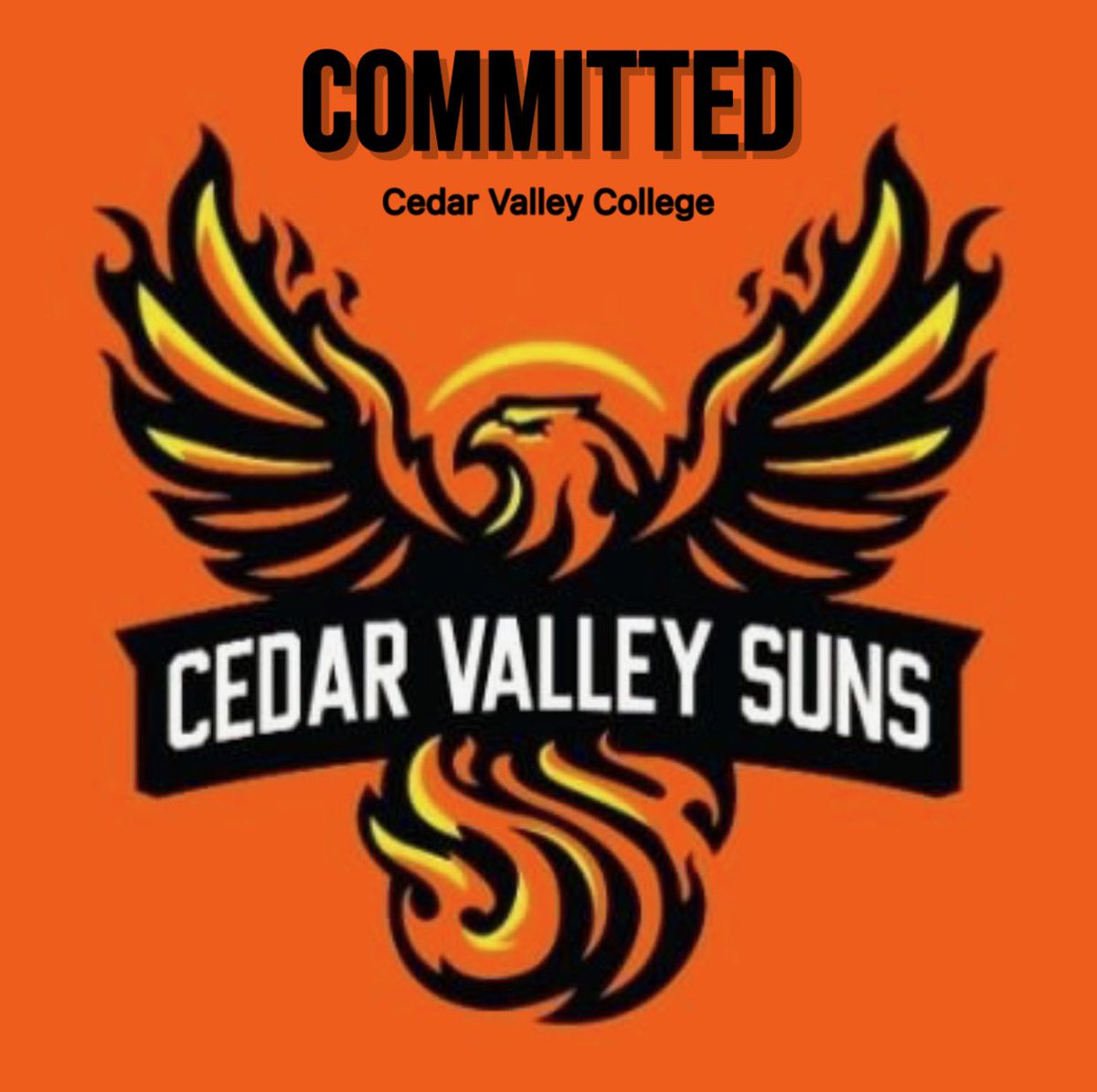 Janessa R. Rodriguez tweet media