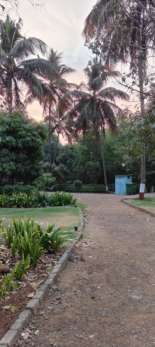 devamitrapanda's tweet image. #myrandomclick variety of trees plants herbs shrubs to vegetables flowers food Created by Nature to feed mankind animal bird kingdoms . So many factors to be ever grateful to God for everything HE Provides us.&quot; Gratitude is the bestest virtue&quot;.🌹🌹🙏