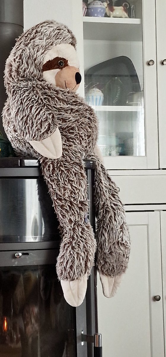 StefanGrodl's tweet photo. Das Hausfaultier kommt frisch aus der Waschmaschine
#Faultier #Animals #Teddybär https://t.co/ZO0dg5uWgl