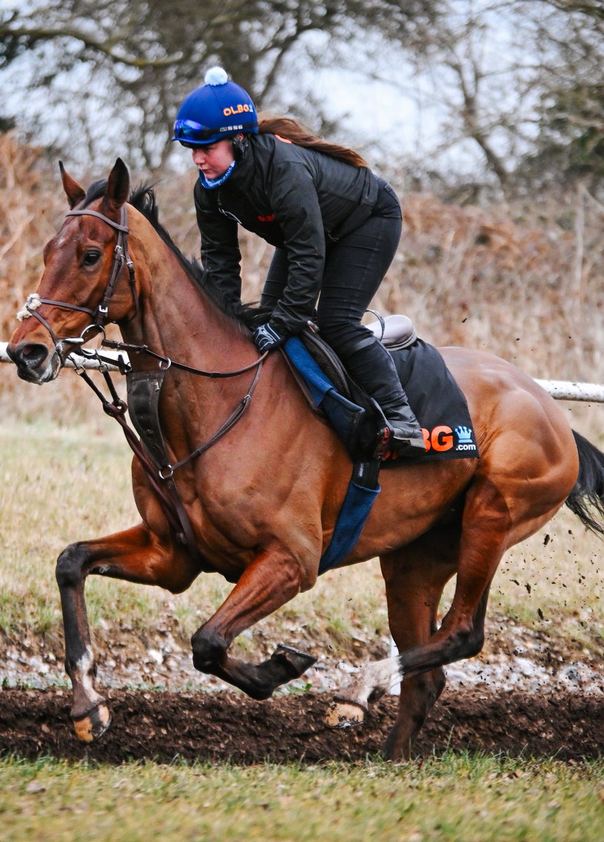 OLBG's tweet photo. COURT IN THE ACT MAKES IT 200 PROFESSIONAL WINNERS FOR PAUL O’BRIEN! 🧡🖤

Classy run. Jumped well, didn’t get out of second gear. 

Massive congratulations to Paul for this huge milestone and to trainer @Harry05Derham ! https://t.co/vJ60ULA8iy