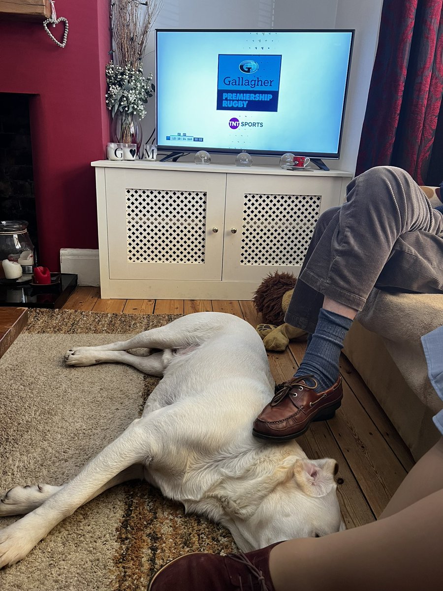 Having a nap after playing ball with one of my grandad’s.