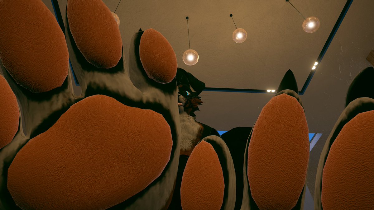 Spicydogcookie's tweet photo. Puppy paws 😋 https://t.co/TTeQ6JyTSJ